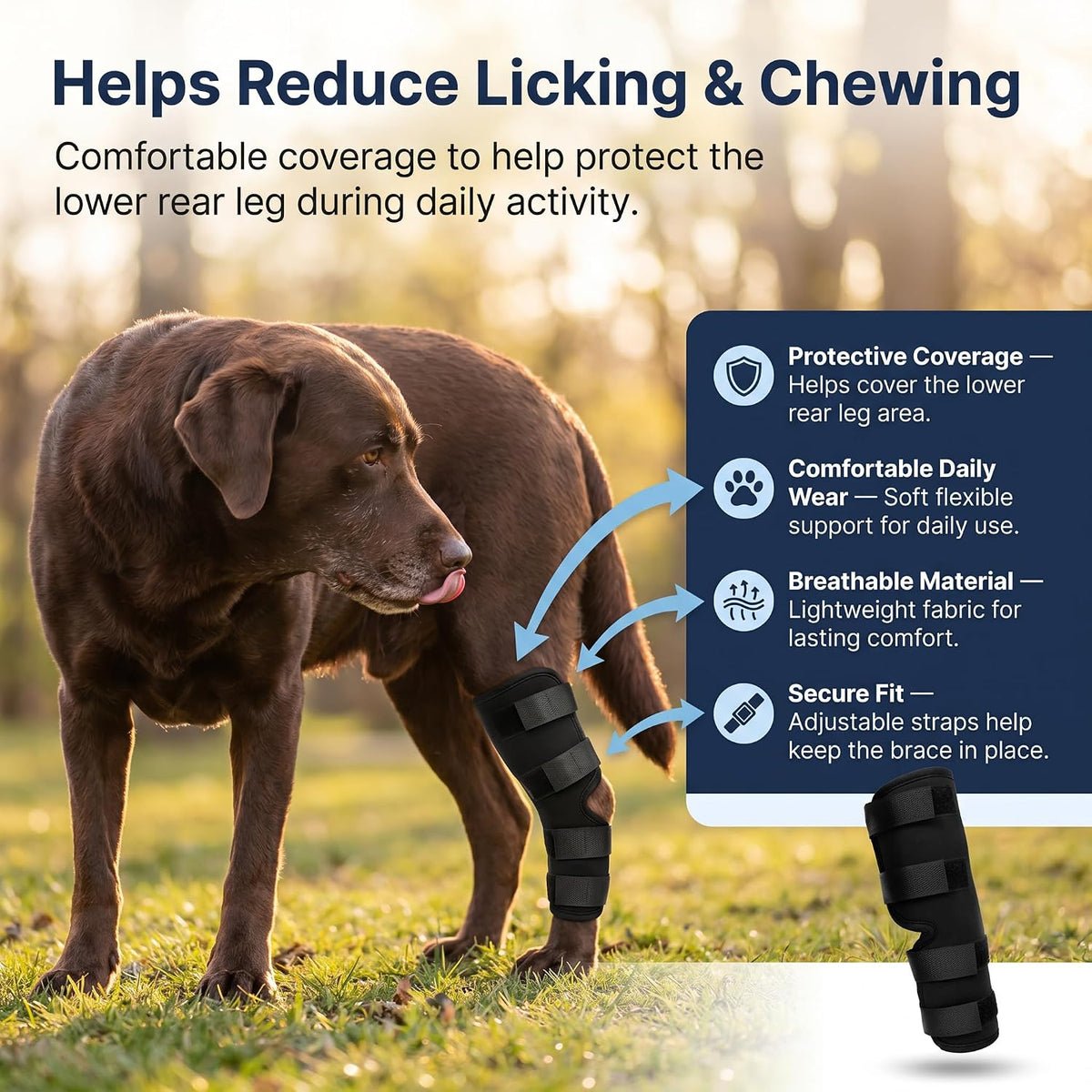 Dog Knee Brace for Hind Leg, Dog Hock Brace for Back Leg Support, Adjustable ACL CCL Brace for Dogs, Rear Leg Support
