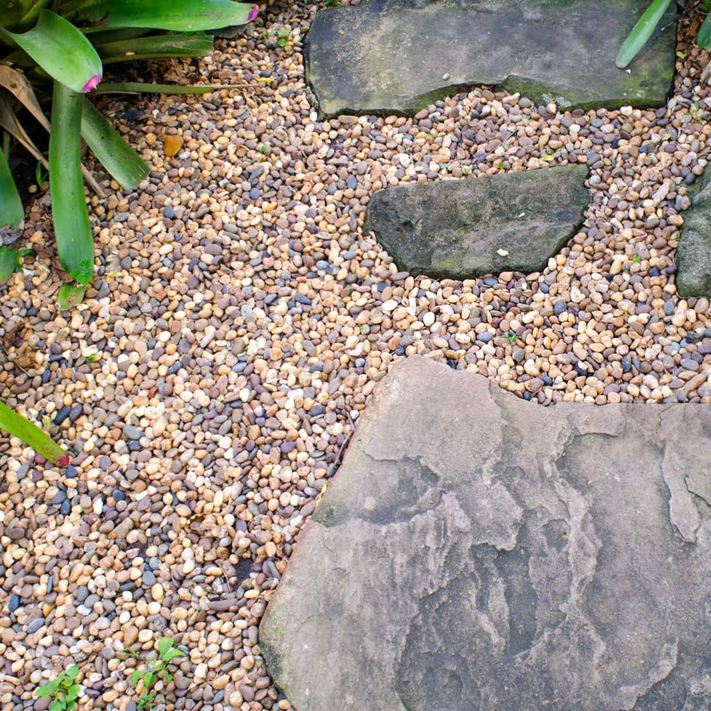 5lbs Aquarium Gravel, 1/4" Fish Tank Gravel Natural River Rocks | Succulent Cactus Pea Gravel for Plants, Pebbles for
