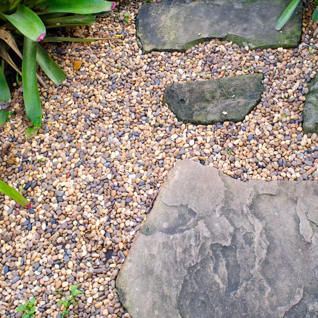 5lbs Aquarium Gravel, 1/4" Fish Tank Gravel Natural River Rocks | Succulent Cactus Pea Gravel for Plants, Pebbles for