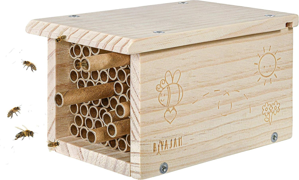 Build a Bee House DIY Woodworking Project | Solitary Mason Bee House Nesting Box Wood Building Kit & Tools | Garden