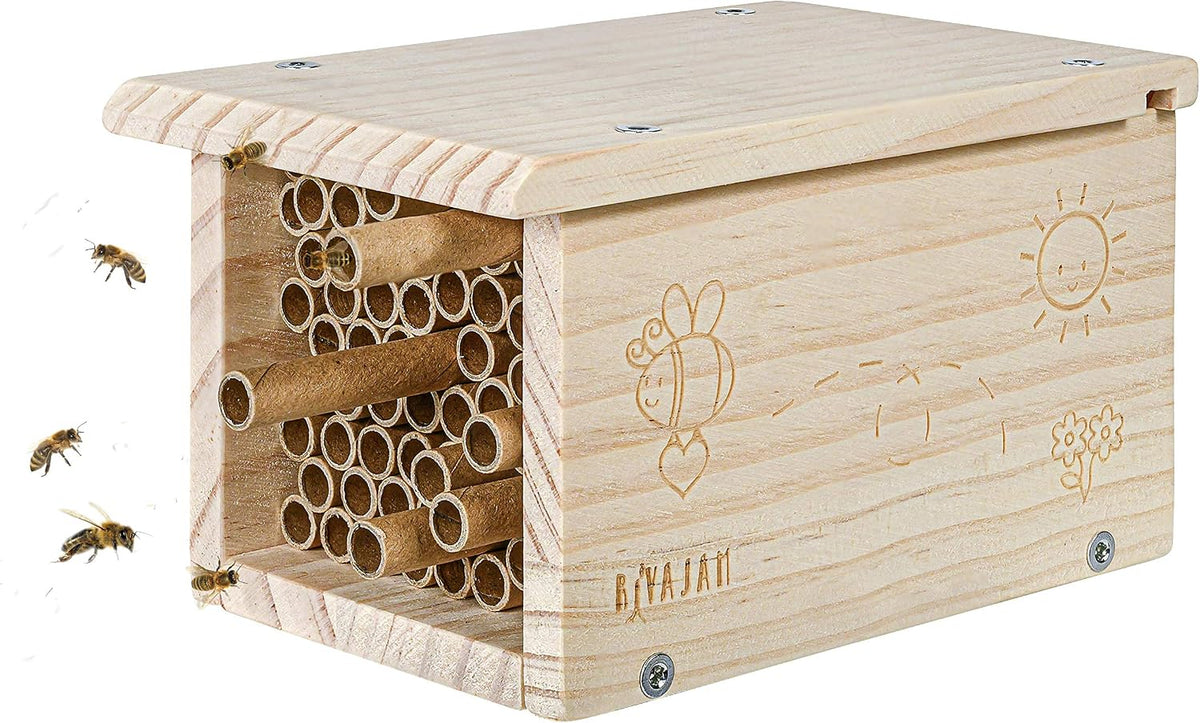 Build a Bee House DIY Woodworking Project | Solitary Mason Bee House Nesting Box Wood Building Kit & Tools | Garden