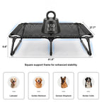 Foldable Outdoor Elevated Dog Cot Bed with Handle