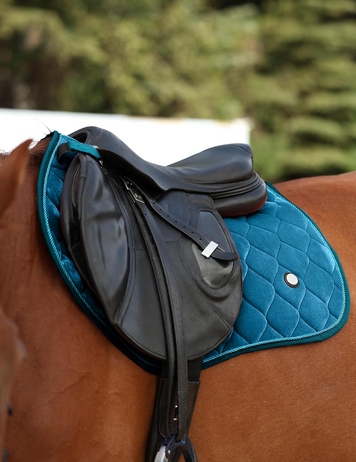 Close Contact Horse Saddle Pad for Jumping, w/Velvet Hue
