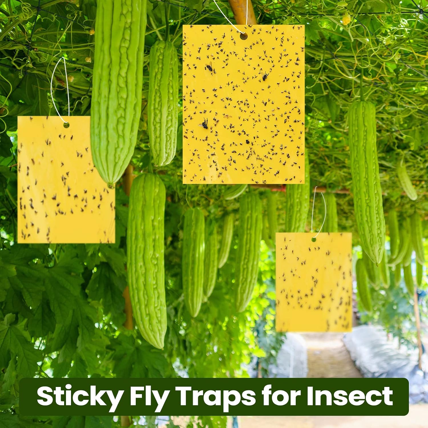 100 Pcs 6x8 Inch Yellow Sticky Traps for Gnats, Dual-Sided Sticky Gnat Traps for Indoor Outdoor Plants, Pest Control