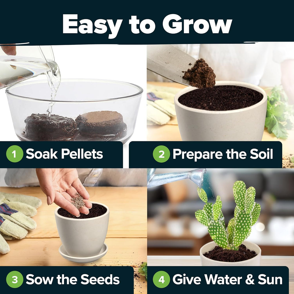 Succulent & Cactus Seed Kit for Planting – [Enthusiasts Favorites] Premium Cactus & Succulent Starter Kit: 4