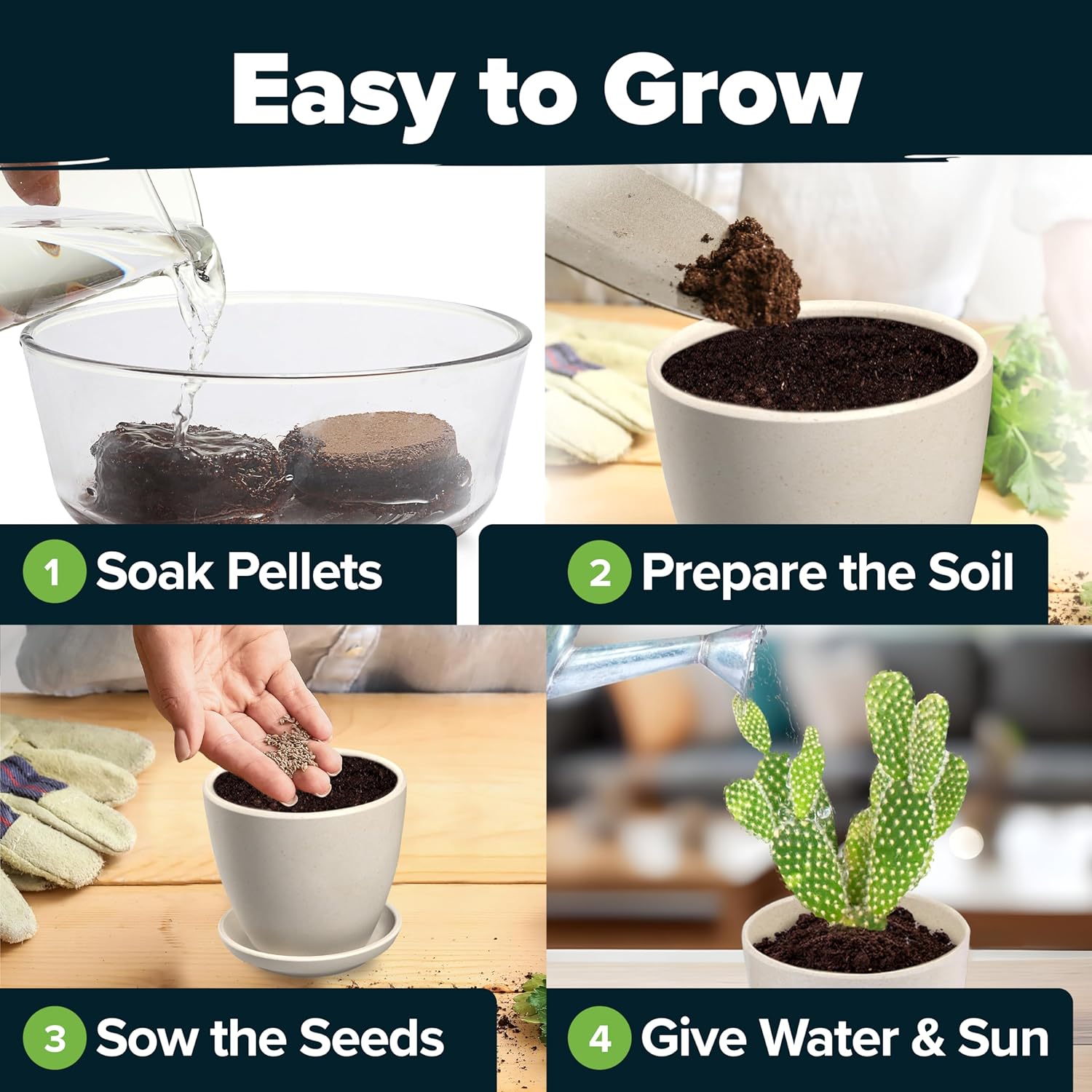 Succulent & Cactus Seed Kit for Planting – [Enthusiasts Favorites] Premium Cactus & Succulent Starter Kit: 4
