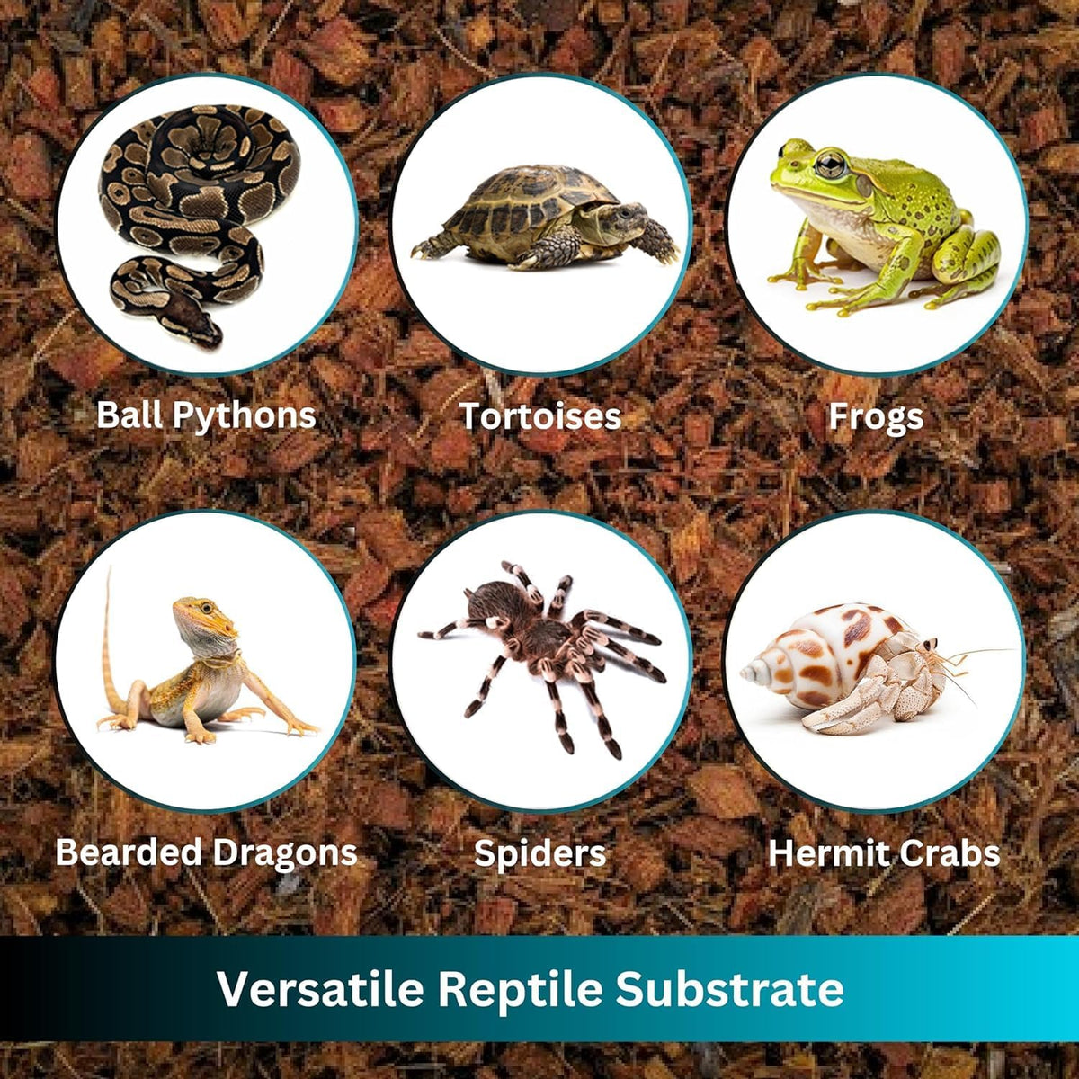 Premium Coconut Chip Substrate for Reptiles – 10 LB Block in Carton Box, Expands to 72 Quarts – Natural & Dust-Free
