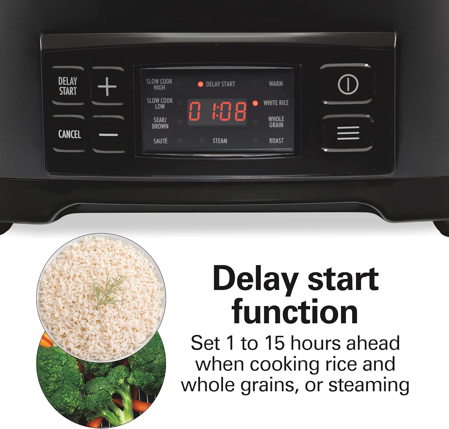 9-in-1 6 Quart Programmable Slow Cooker | Sear, Brown, Rice, Steam, Sauté, Roast, Delay Start & Keep Warm Functions |