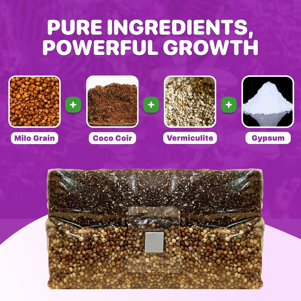 All‑in‑One Mushroom Grow Bag Kit – Sterilized Grain & CVG Substrate with Self‑Healing Injection Port –