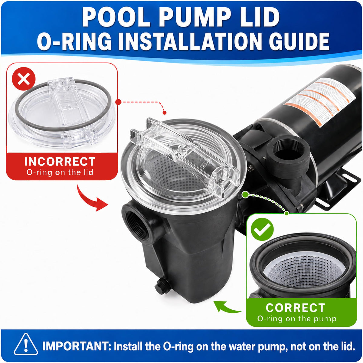 SPX3100D Pump Lid with Lid Oring, Pool Pump Lid Replacement