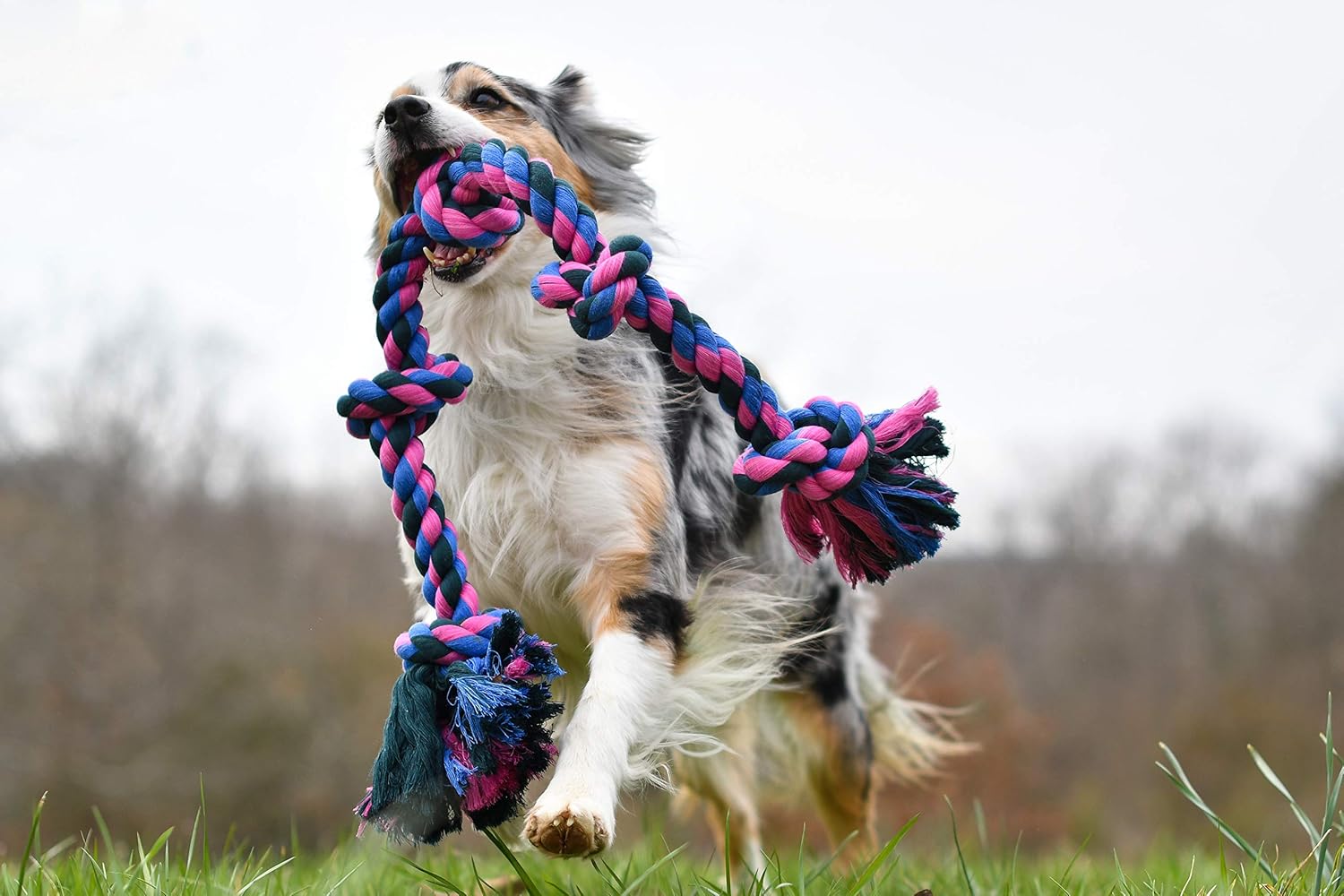 Mammoth Flossy Chews Rope Tug – Premium Cotton-Poly Tug Toy for Dogs – Interactive Rope Toy (Colors May Vary)