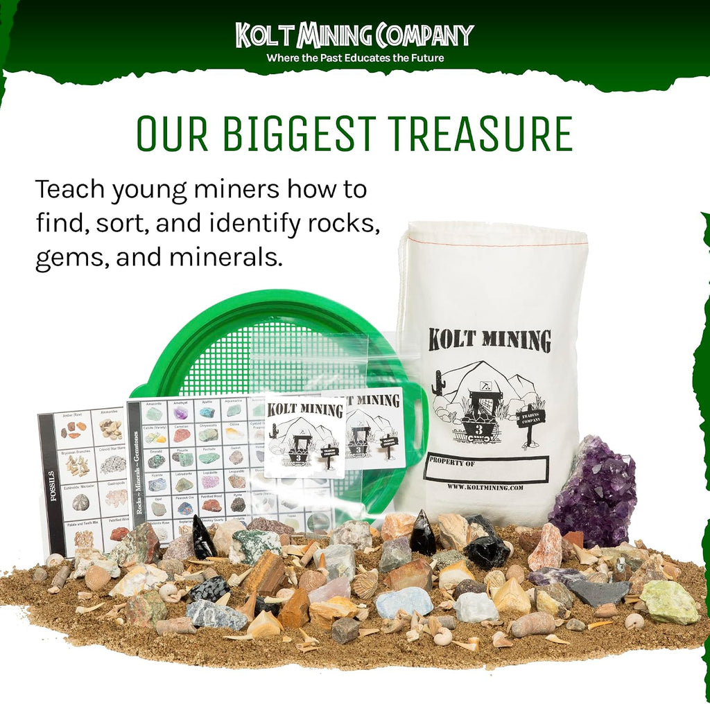 Adult Geology Kit: Rocks, Minerals, Fossils, Crystals & Shark Teeth