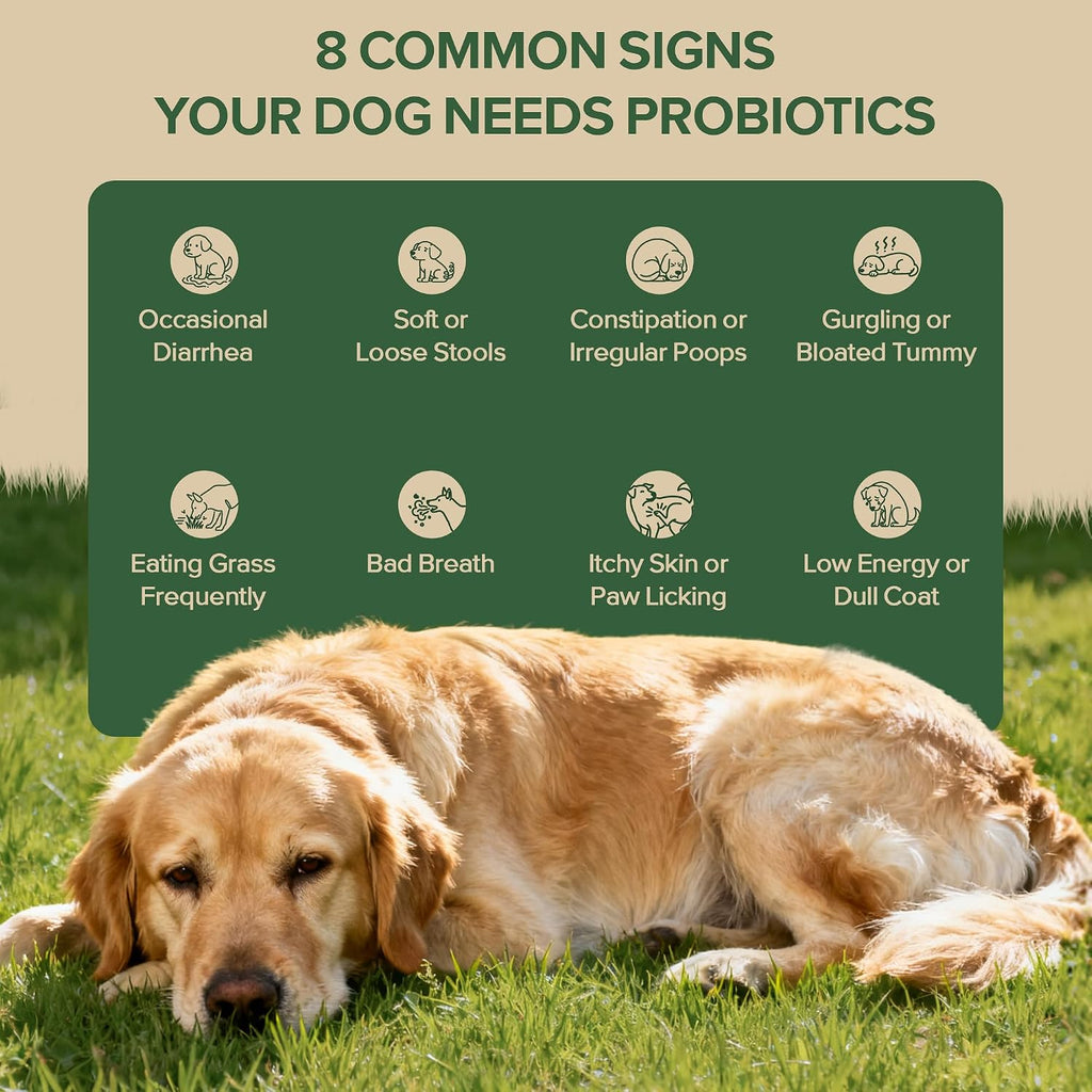 Probiotics for Dogs - Dog Probiotics for Yeast, Itchy Skin and Itchy Ears, Digestive Health, Diarrhea Relief, Gut &