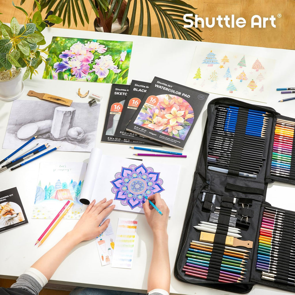 116 PCS Drawing Kit, Professional Drawing Supplies with Sketch, Charcoal, Colored, Graphite, Pastel Pencils & Sticks