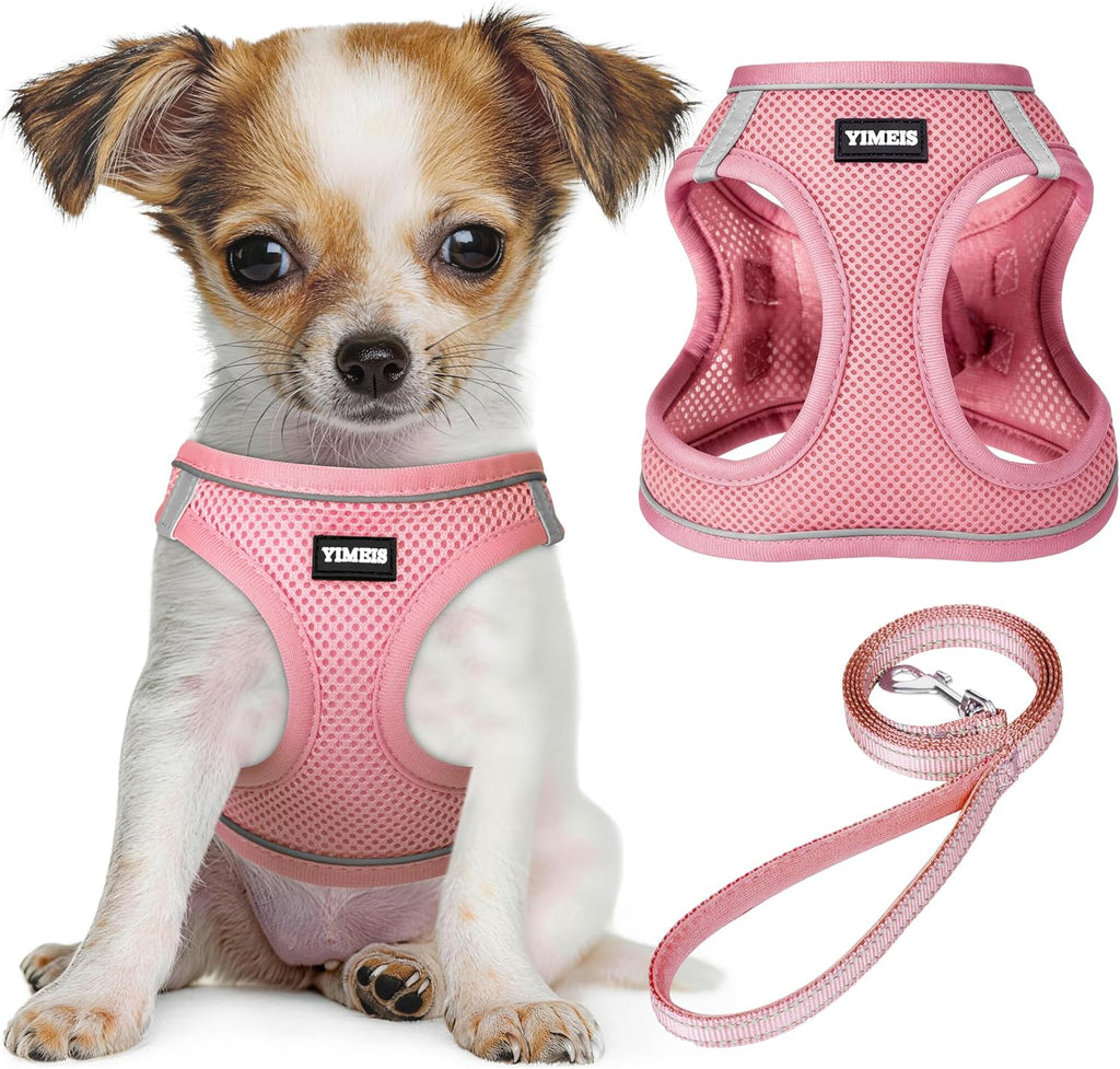 Dog Harness and Leash Set, No Pull Soft Mesh Pet Harness, Reflective Adjustable Puppy Vest for Small Medium Large