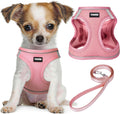 Dog Harness and Leash Set, No Pull Soft Mesh Pet Harness, Reflective Adjustable Puppy Vest for Small Medium Large