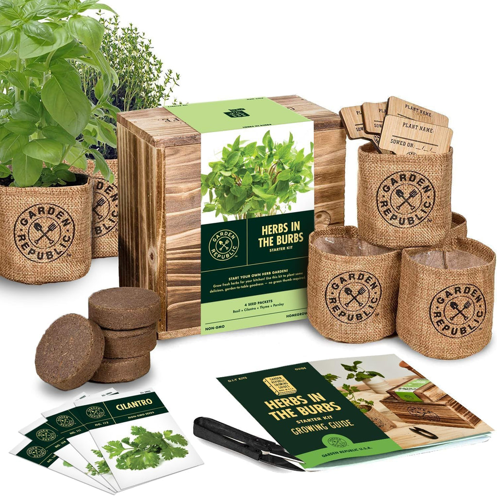 Indoor Herb Garden Starter Kit - Heirloom, Non-GMO Herb Seeds - Basil Thyme Parsley Cilantro Seed, Potting Soil