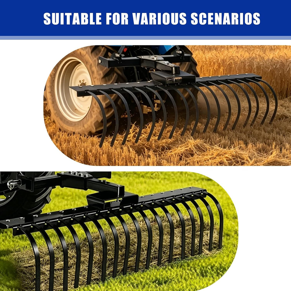 3 Point Hitch Landscape Rake, 49" Adjustable Spring Steel Tractor Attachment for CAT-0 CAT-1 Tractors, Arena Grading