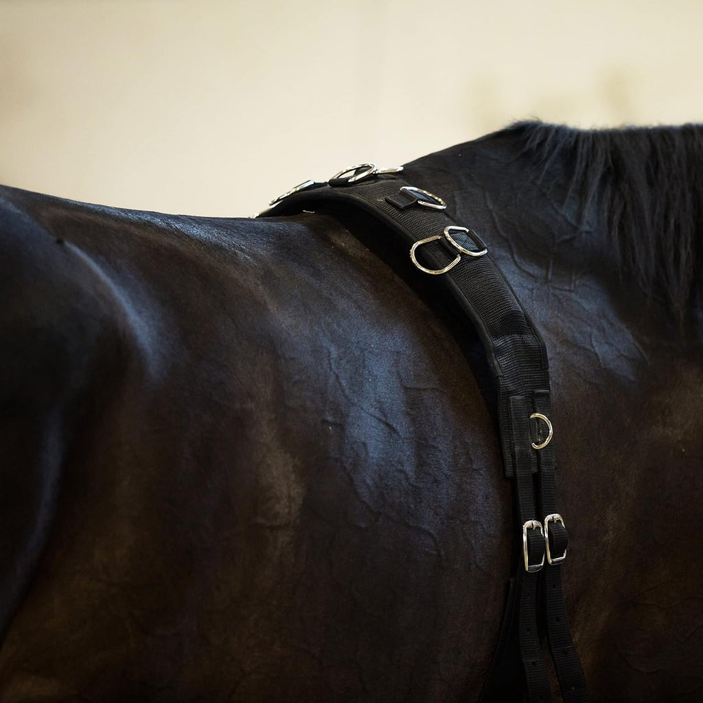 Lunging Surcingle for Horses | Nylon Roller for Training - Black - Horse