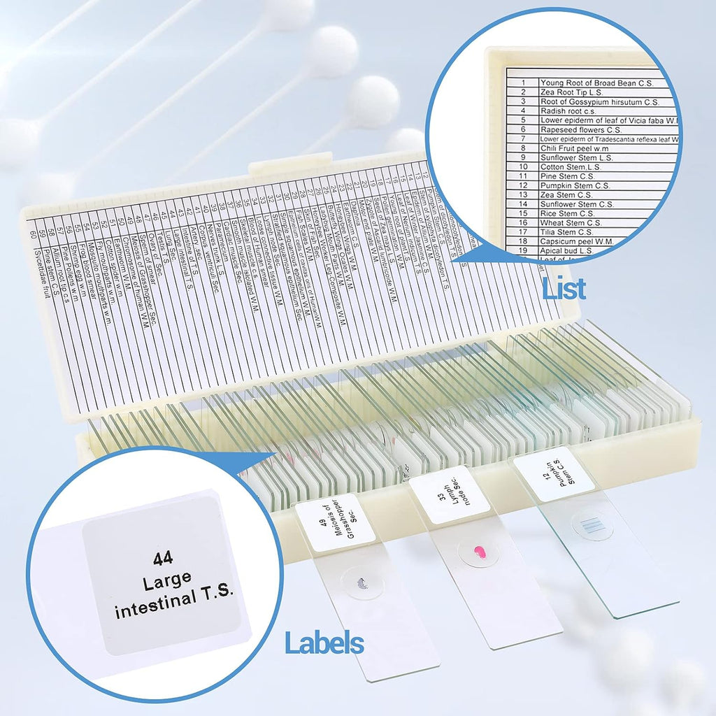 60 Microscope Slides with Specimens for Kids, Prepared Microscope Slides for Kids Microbiology, Prepared Microscope