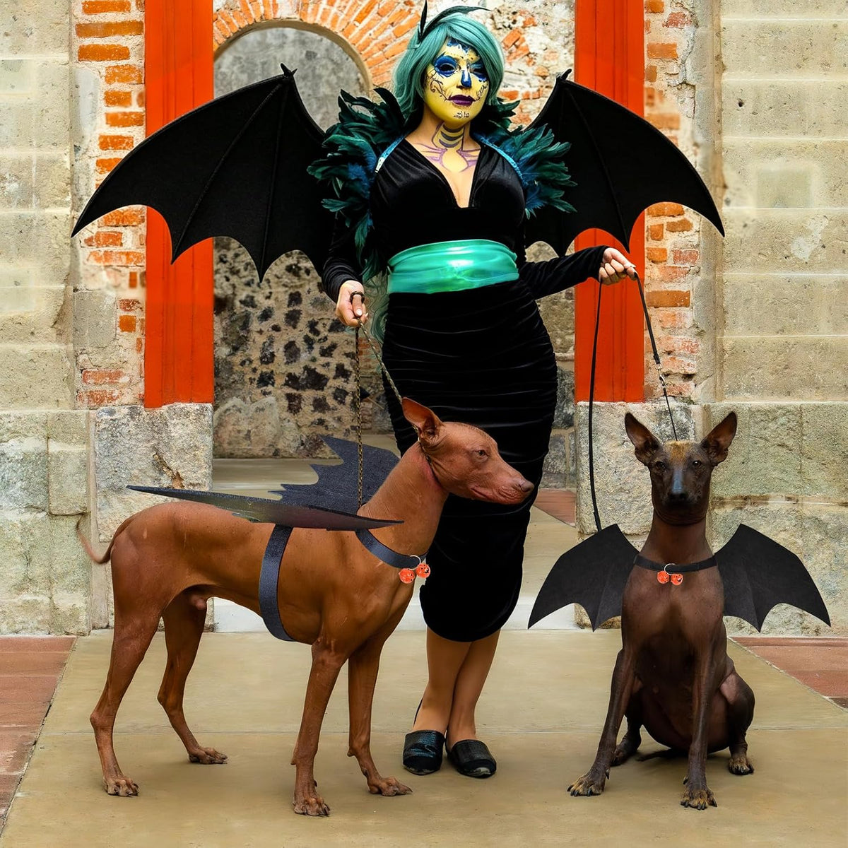 Dog Halloween Costumes, Large Bat Wings Dog Costume with 2 Pumpkin Bells