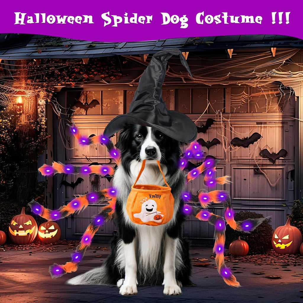 Halloween Spider Costume for Small Dog - Glowing Funny Cats Pet Costumes