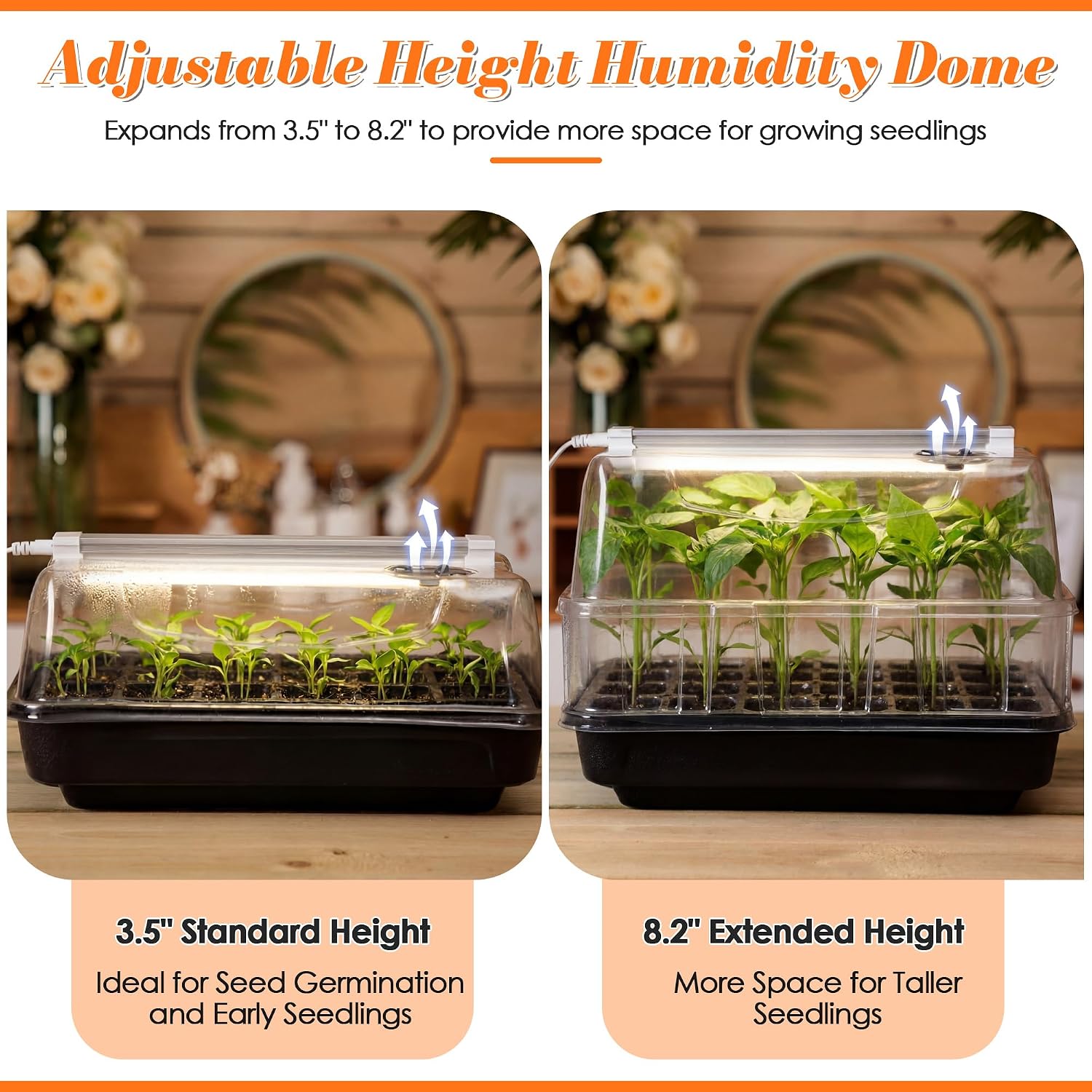 Seed Starter Tray with Grow Light and Heated Base for Faster Germination | T8 Full-Spectrum Light, 8.2in Adjustable