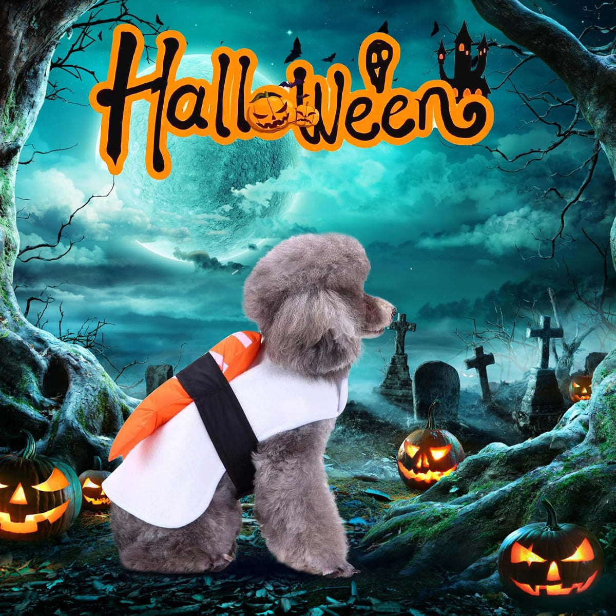 Sushi Dog Halloween Costume Fish Food Pet Costume Pet Cosplay Outfits