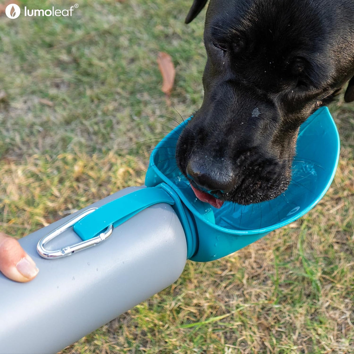 Insulated Dog Water Bottle 27 oz Stainless Steel - Keep Water Cool or Warm, Portable Pet Water Bowl for Travel, Wide