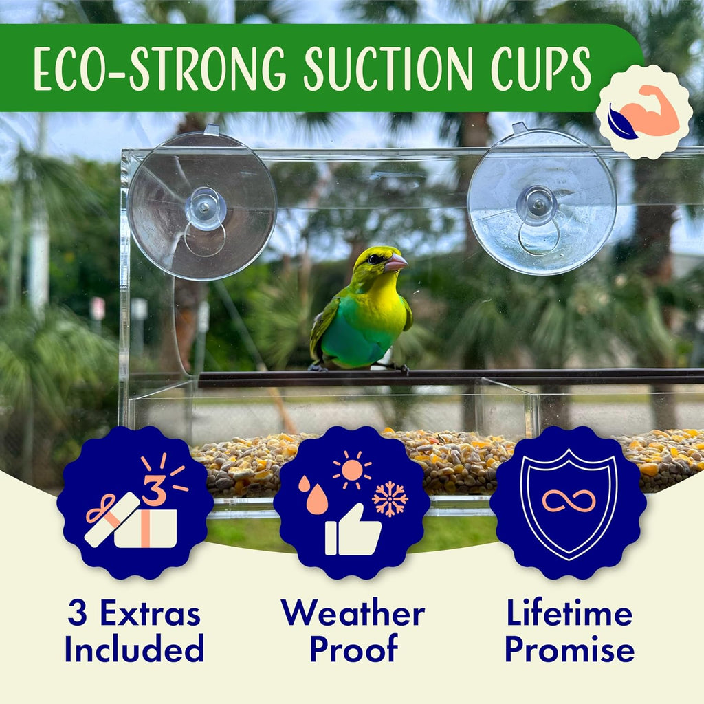 Window Bird Feeder by Nature's Hangout - No Assembly, Strong Suction Cups