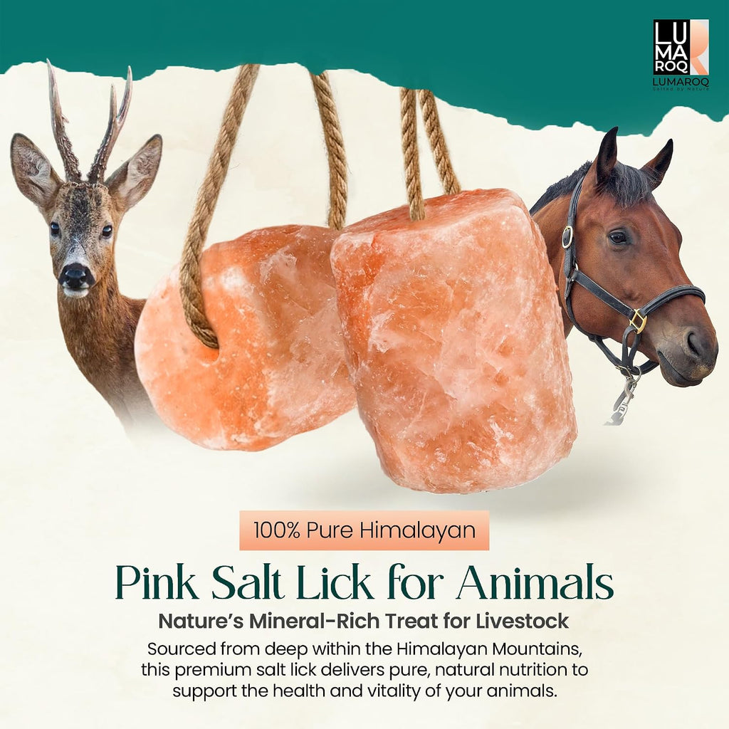 Himalayan Pink Salt Lick On Rope 6lbs for Horses, Deer, Goats & Livestock, Natural Mineral Salt Block with 84 Trace