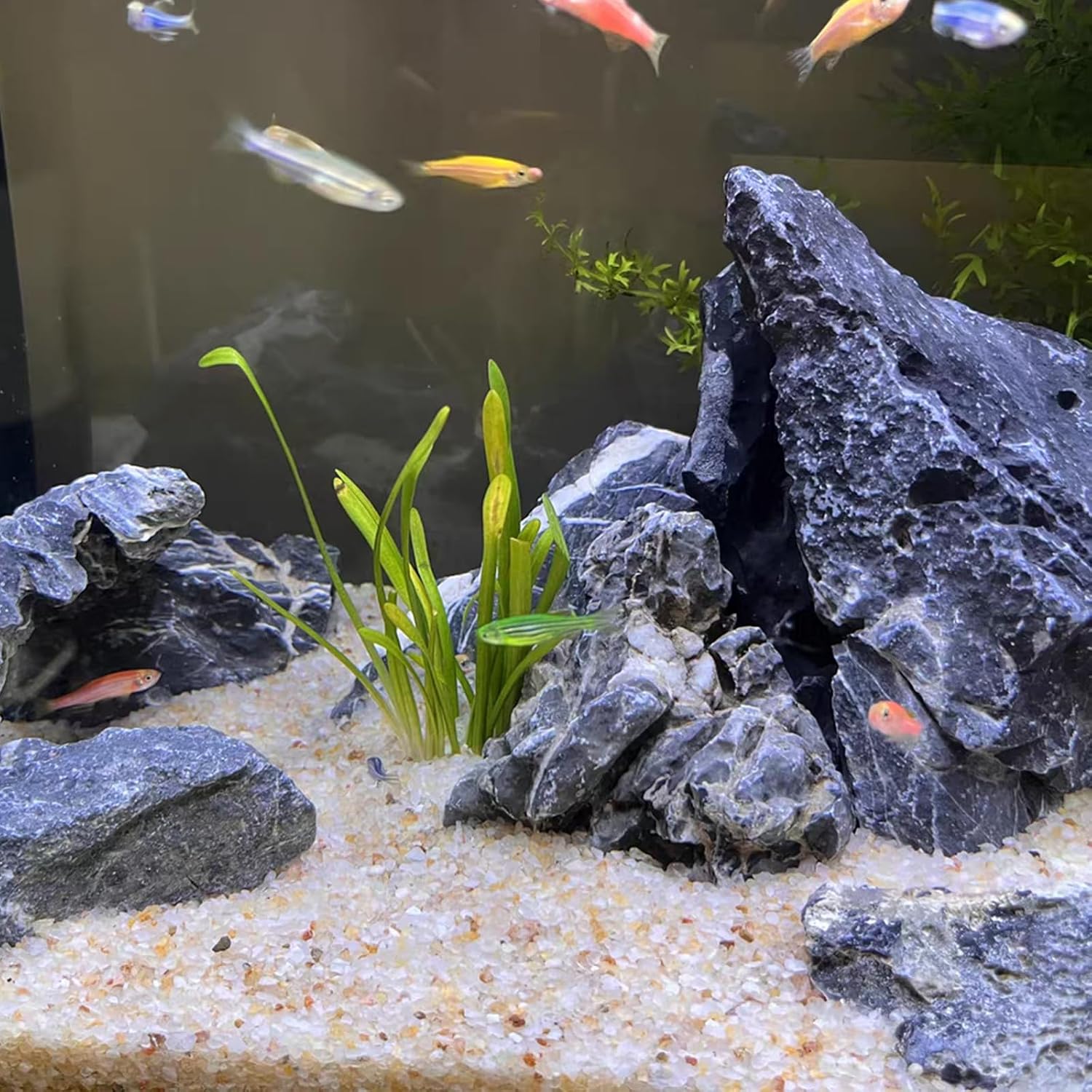 5 lbs Aquarium Sand,Beige Fish Tank Sand, Aquarium Substrate Gravel | Aquarium Sand for Freshwater Fish Tank, Shrimp