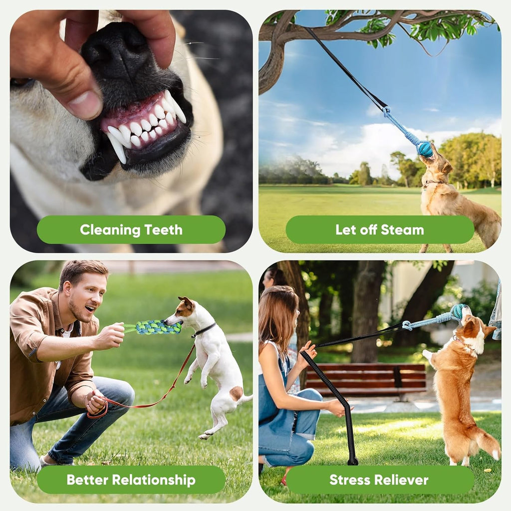 Dog Bungee Toy for Small/Medium Dogs,Interactive Dog Tug of War Toys Set with Tether, Rope and Ball, Tree Hanging