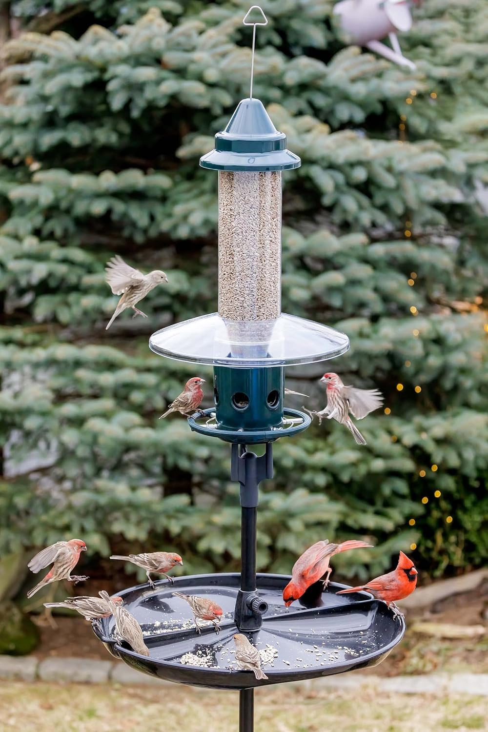 Squirrel Buster Plus Squirrel-proof Bird Feeder w/Cardinal Ring and 6 Feeding Ports, 5.1-pound Seed Capacity