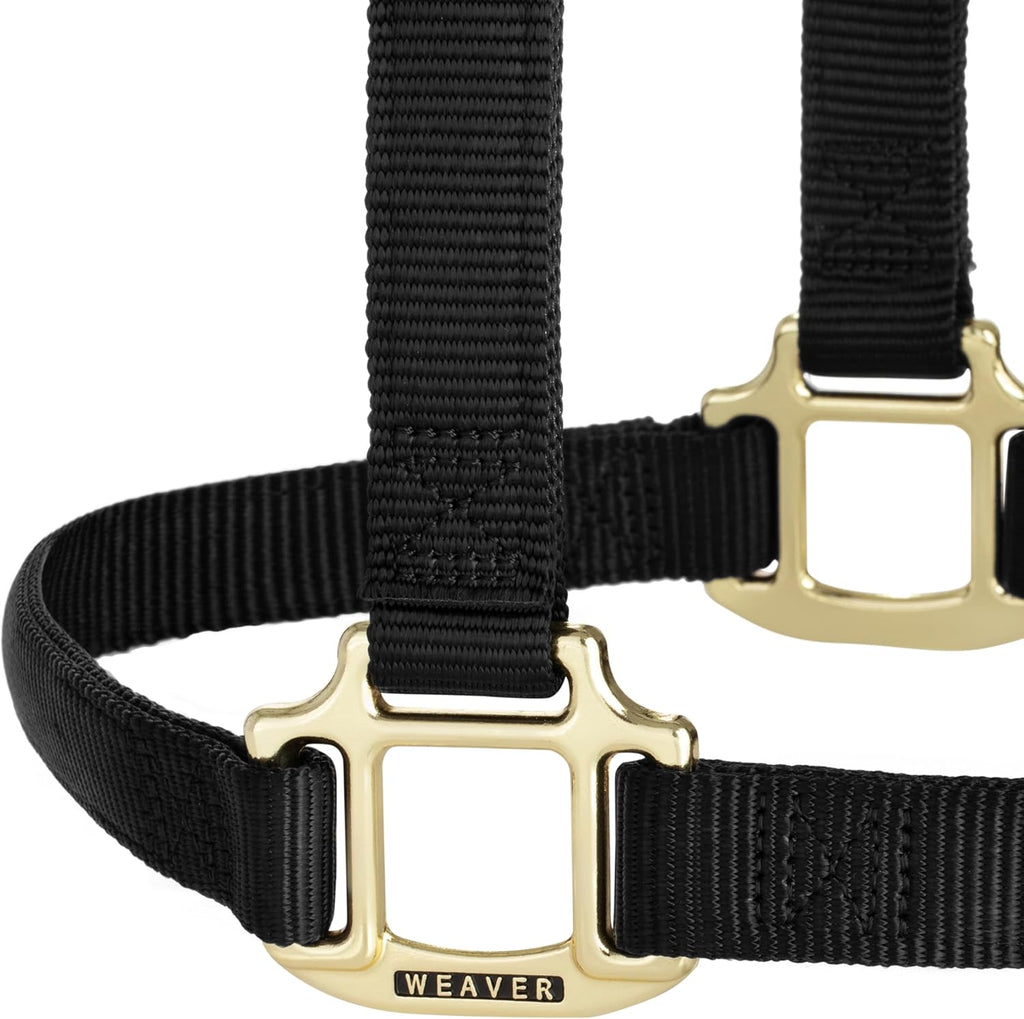 Weaver Leather Original Non-Adjustable Nylon Horse Halter, Black, Yearling