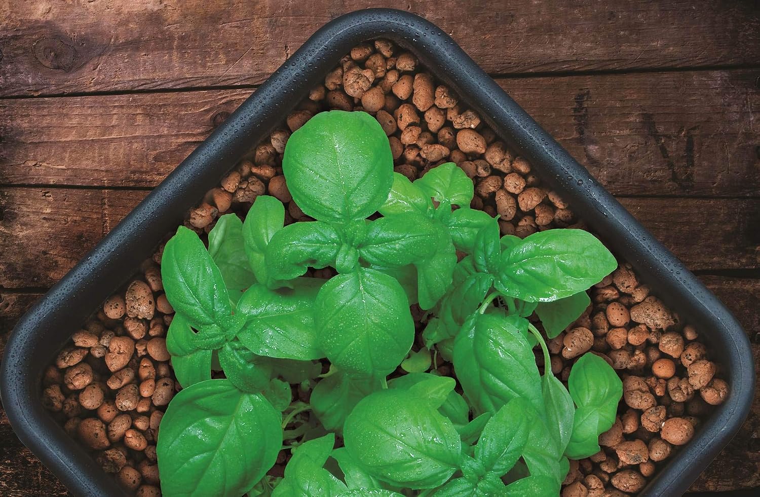 GROW!T GMC40l - 4mm-16mm Clay Pebbles, Brown, (40 Liter Bag) - Made from 100% Natural Clay, Can be used for Drainage