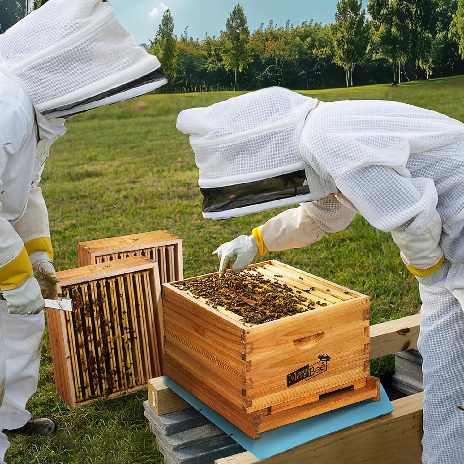 8-Frame Beehive Starter Kit, Bee Hive Kit Dipped in Beeswax, Bee Hives Boxes Starter Kit Includes Beekeeping Supplies