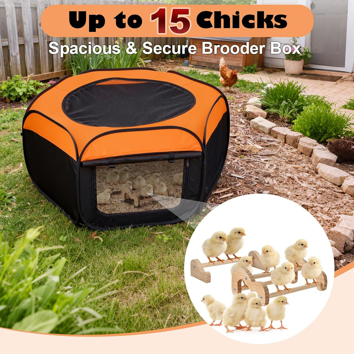 Brooder Box for Chicks, Pop-Up Chicken Brooder Playpen with Dual Doors