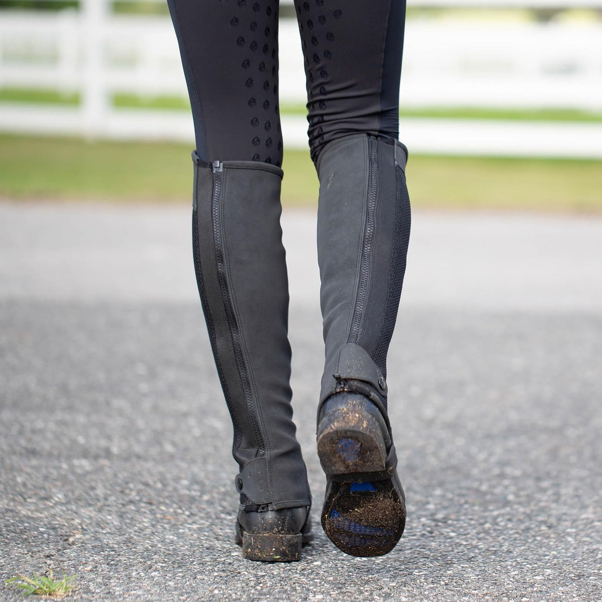 Freya Womens NordicAir Tech Equestrian Half Chaps for Horseback Riding | Breathable Mesh