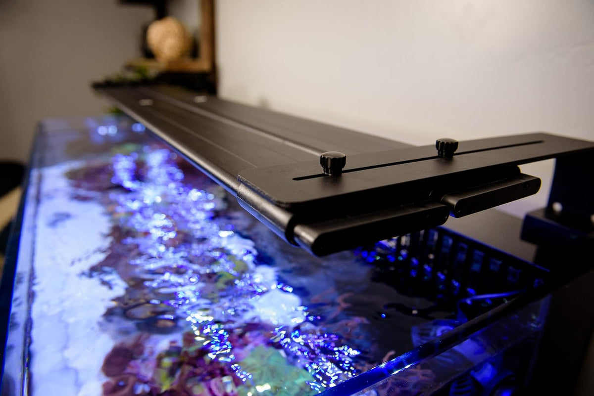 USA Dual 72" Inch Orbit Marine IC LED Saltwater Reef Marine Aquarium Light | 24 Hour IR Lighting & eFlux Wave Pump
