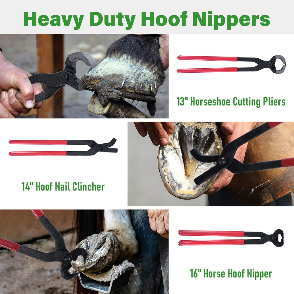 8PCS Farrier Tools Kit Horse Hoof Trimmers Set