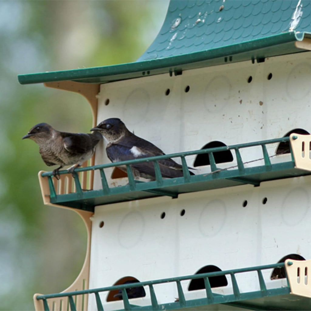 Bulk Buy of 4 S&K Purple Martin Houses, White and Green, PBH-12