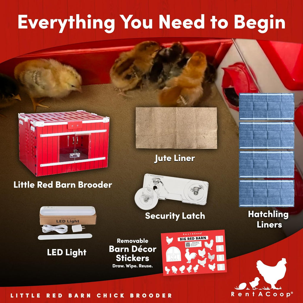 Little Red Barn Chick Brooder
