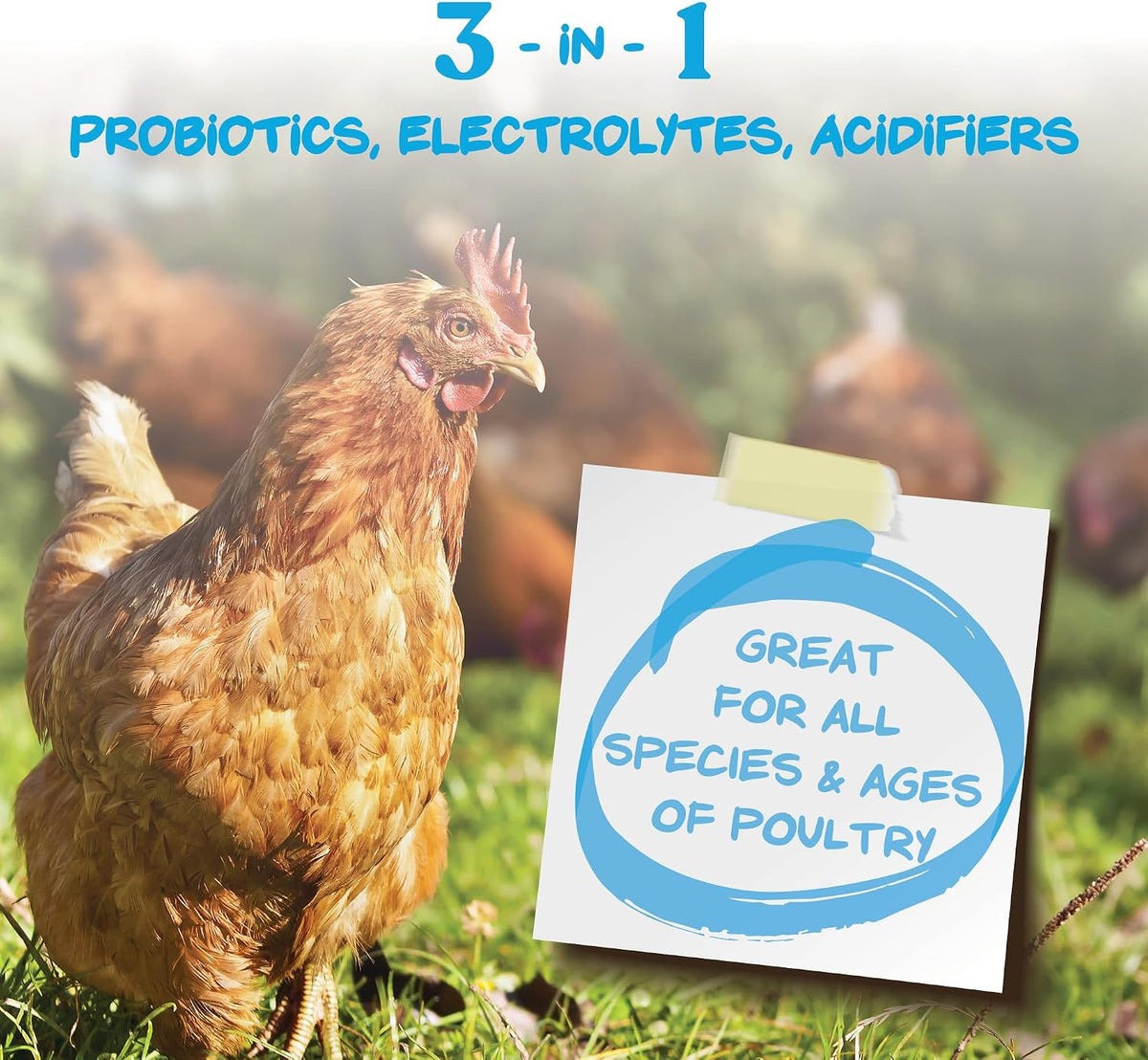 Hydro-Hen Chicken Electrolyte & Probiotic for Poultry, 20 oz
