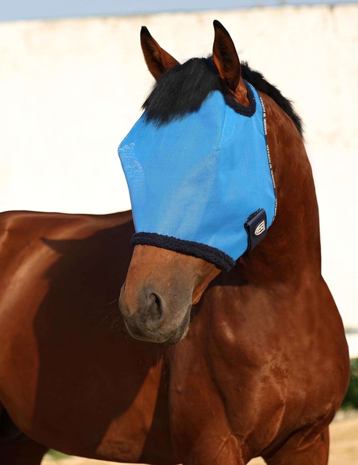All Round Mesh Horse Fly Mask UV Protective with Fleece Padded Edging Sky Blue L