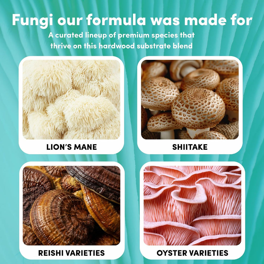 All-in-One Mushroom Grow Kit – 6 lb Sterilized Enhanced Substrate with Alder, Soy Hull, Millet & Milo Grains |