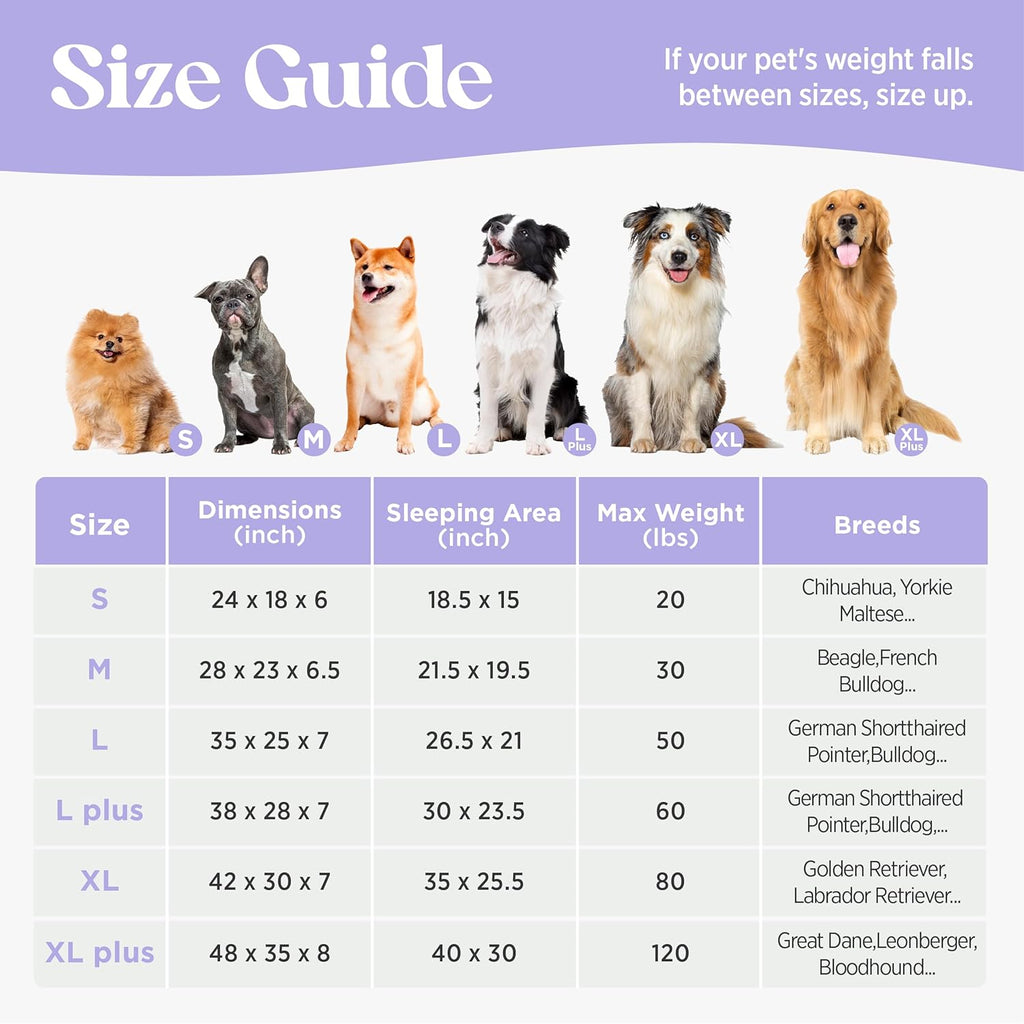 Cute Dog Bed Medium Size Dog, Orthopedic Waterproof Medium Pet Beds with Sides, High Back Non-Slip Bottom and