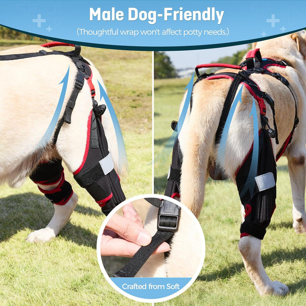 Dog ACL CCL Knee Brace for Large Dogs, Set of 2 Hind Leg Braces with Handles & Shoulder Strap – Non-Slip Support for