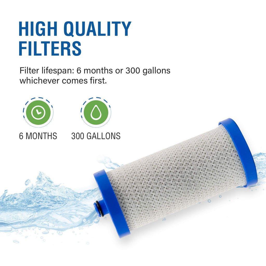 Frigidaire WF1CB,WFCB,469906,RG100 OEM Refrigerator Water Filter