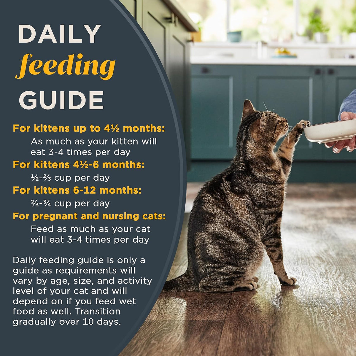 Kitten Chicken Grain Free Complete Dry Food 2.5 lb Bag